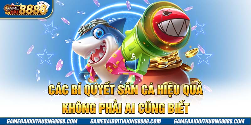 Các bí quyết săn cá hiệu quả không phải ai cũng biết